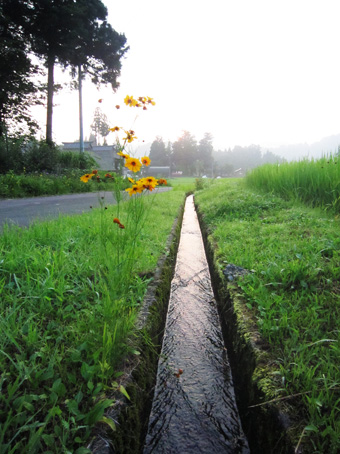 旧高柳町「荻ノ島集落」の民家の実測調査に行ってきました（その３）。_c0195909_10561590.jpg