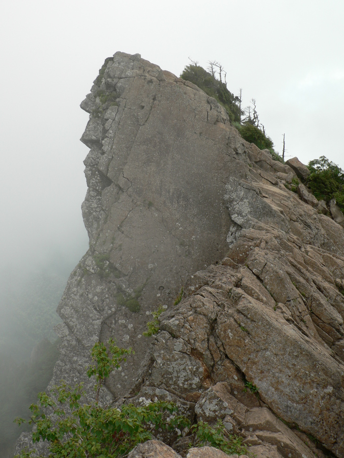 f0219710_754080.jpg