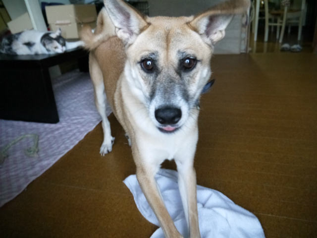 f0218911_2215798.jpg