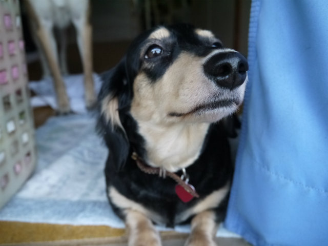 f0218911_2235549.jpg