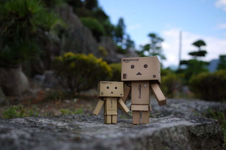 ダンボーくん親子 フォト日記 By Yokota Warehouse