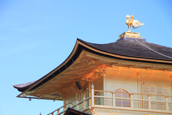 夏の盛り 金閣寺_e0048413_218309.jpg