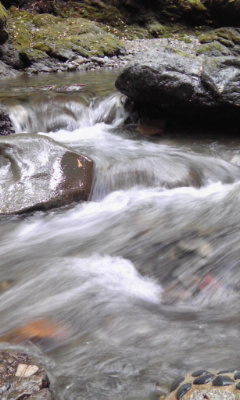 c0114925_2127187.jpg