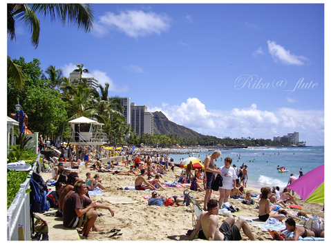 ハワイの写真＆暑中お見舞い申し上げます！_c0103827_1629520.jpg
