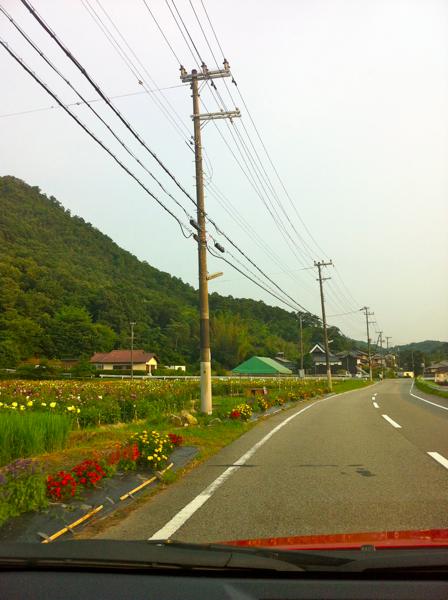 f0221433_95389.jpg