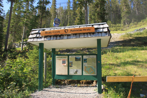d0055236_15591279.jpg
