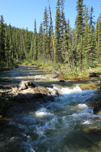 d0055236_15593963.jpg
