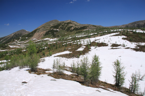 d0055236_1815152.jpg