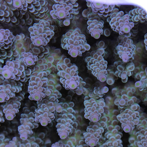 d0221436_2229048.jpg