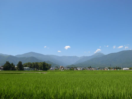 a0014840_2112209.jpg