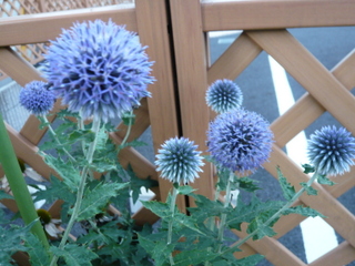 b0200240_22564052.jpg