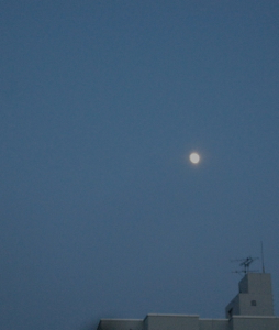 a0056943_106246.jpg