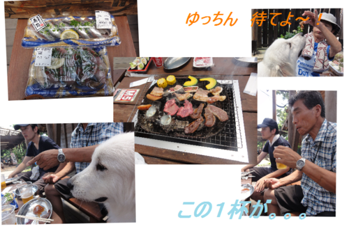a0201257_17415445.png