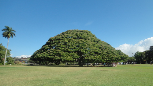 e0064457_76288.jpg