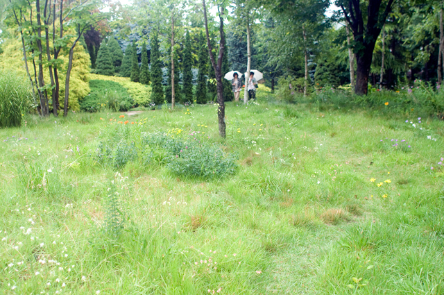 f0176458_1782997.jpg
