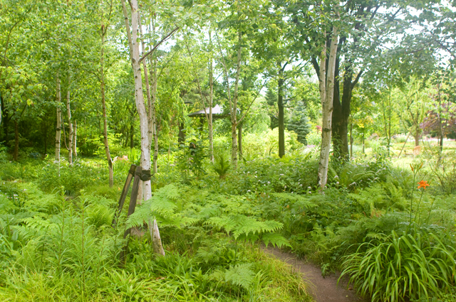 f0176458_1794497.jpg