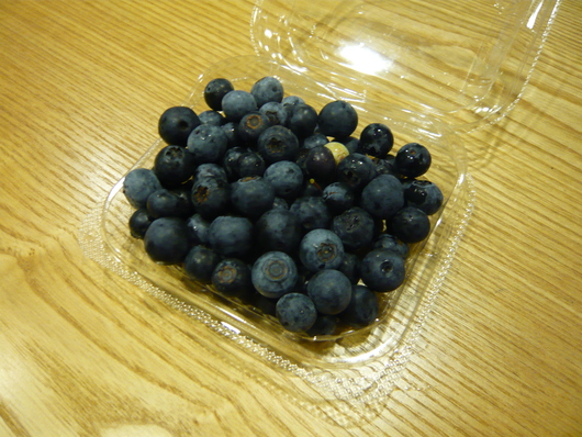 ブルーベリー_e0237660_19152519.jpg