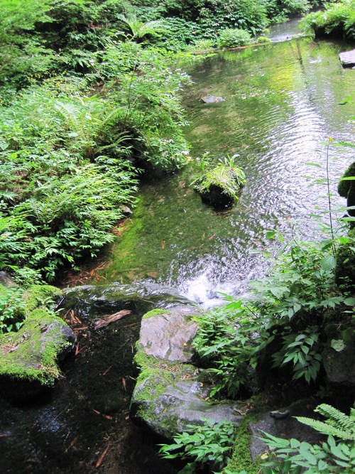 御膳水(お水端)@ホテル鹿島ノ森_f0236260_13332794.jpg