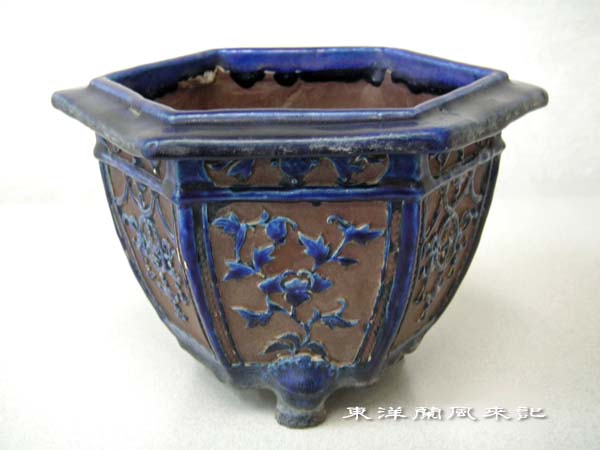 大阪焼き蘭鉢「楽忠鉢」「頂山鉢」 No．454 : 風来記 東洋蘭風来