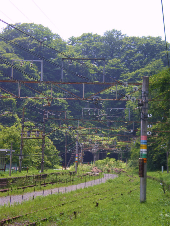 碓氷峠「アプトの道」　その３_b0056570_23351986.jpg