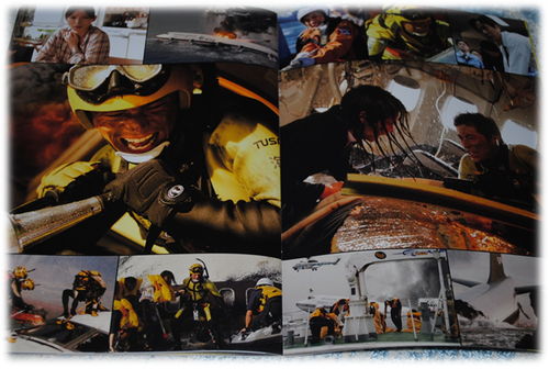 b0242873_0554981.png