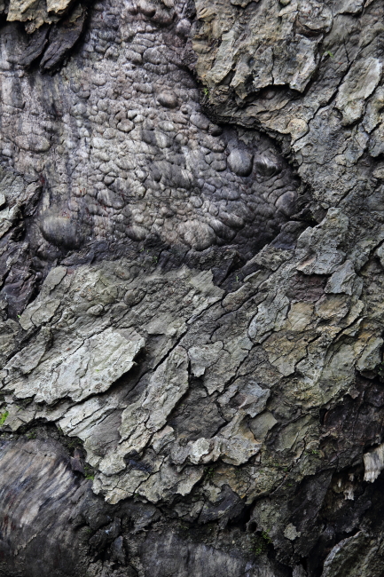 c0054876_1644751.jpg