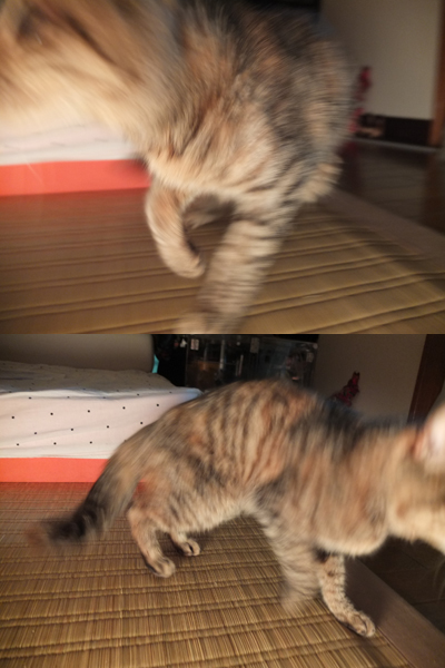 リハビリ_a0180681_5144100.jpg