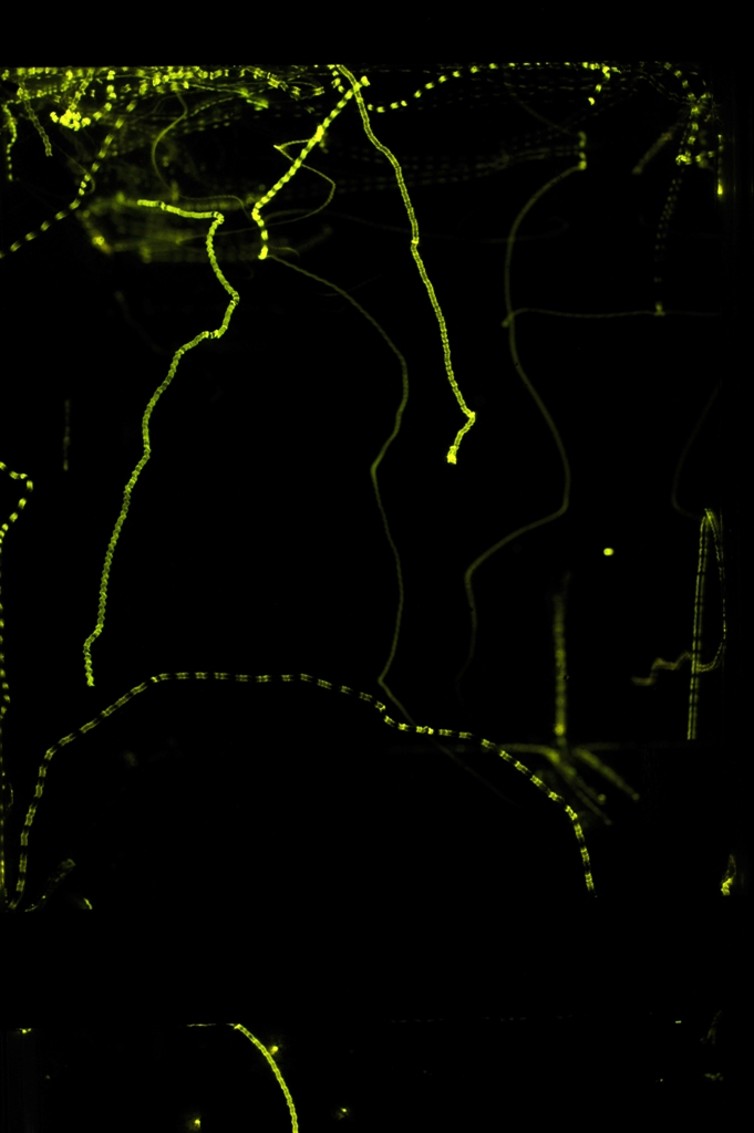 a0203481_103022.jpg