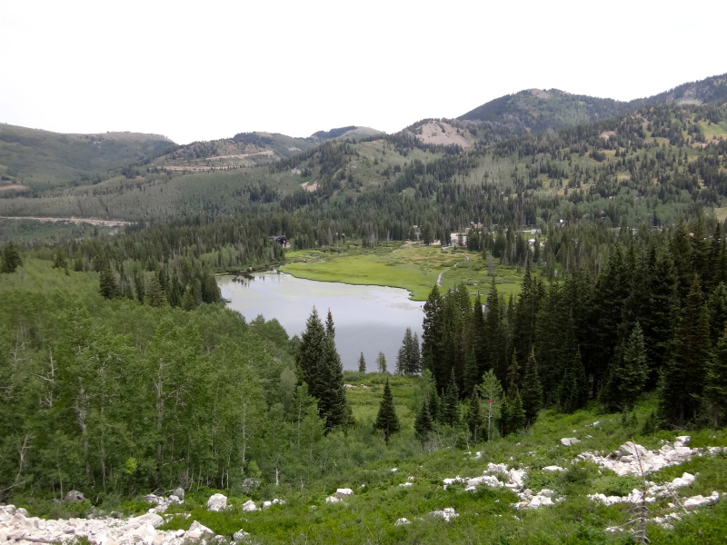 2012/07/31 Salt Lake City Twin Lake Trail Running_b0220886_121828.jpg