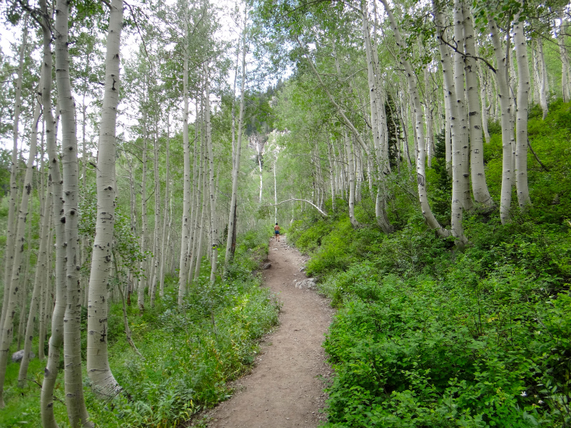 2012/07/31 Salt Lake City Twin Lake Trail Running_b0220886_1253067.jpg