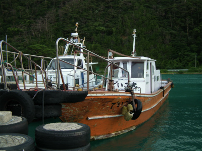 e0028387_20172018.jpg