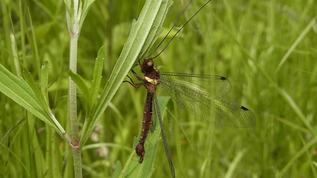 a0152692_8233365.jpg