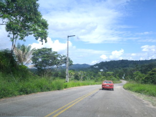 d0171192_87881.jpg