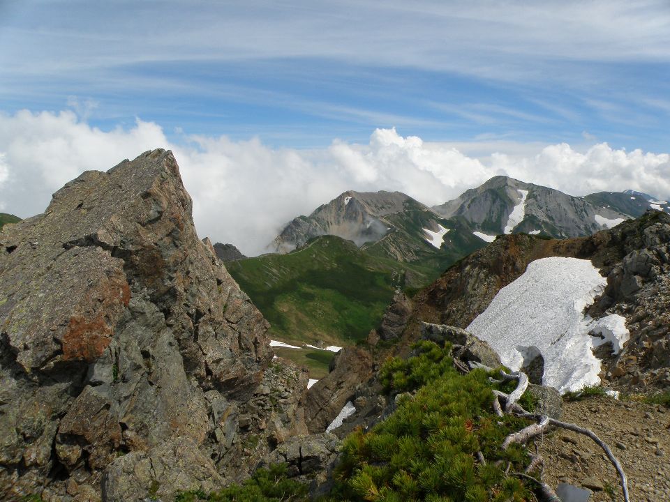 2012/夏山#2　お花畑・雪渓・展望の広がる旭岳→白馬岳山頂 201/07/26-27　快晴　単独_c0134193_342331.jpg