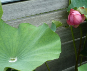 f0166694_19283199.jpg