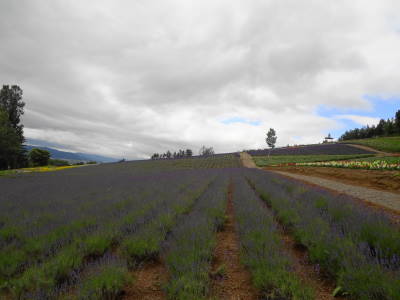 a0236996_0141797.jpg