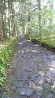 c0194296_1142713.jpg