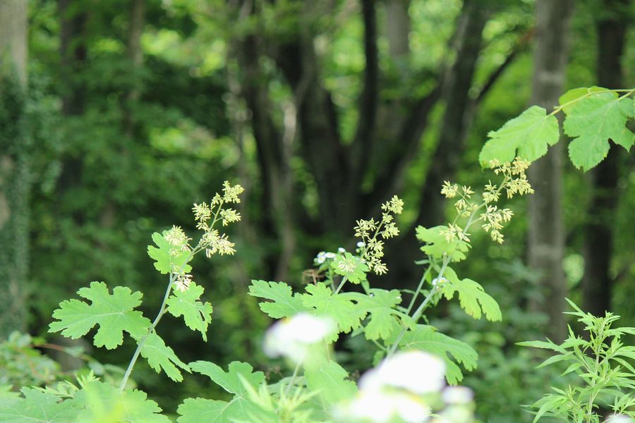 d0069498_21462838.jpg