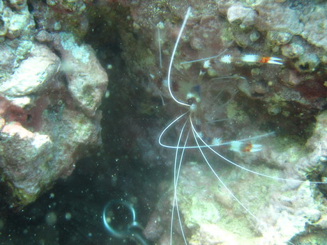 e0115199_184648.jpg