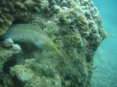 e0115199_18482152.jpg