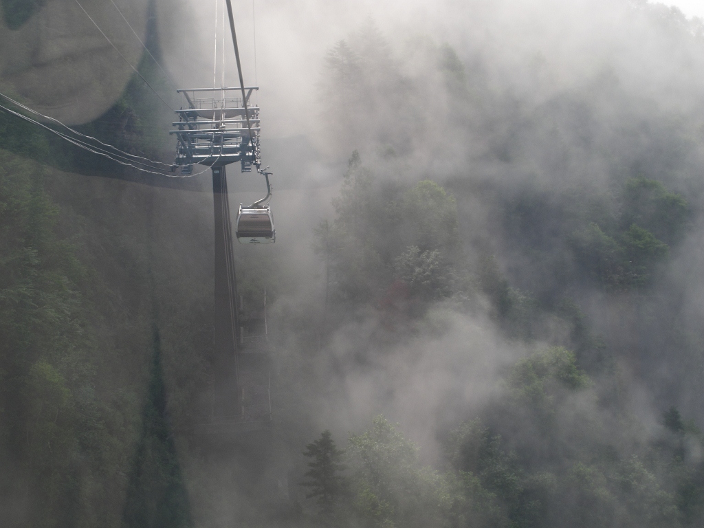 花の山行　（日光白根山）_e0257101_21284778.jpg