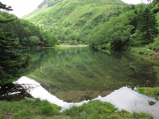 花の山行　（日光白根山）_e0257101_22252973.jpg