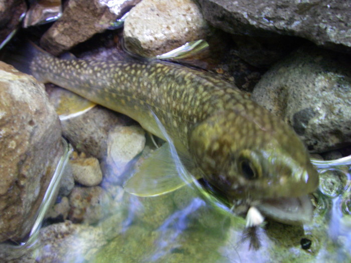 c0180802_2246257.jpg