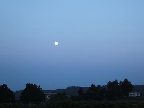 f0179203_1003668.jpg