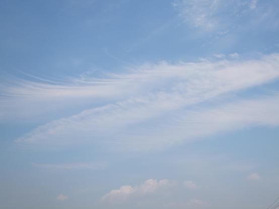 f0179203_16264156.jpg