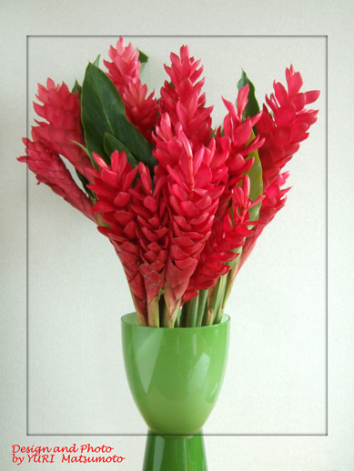 レッド ジンジャー Flower Supplement Flowering For The Comfort Living 日々の生活を 心を豊かにする花の世界