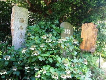 雪ノ下 勝長寿院跡へ 12 08 01 Part2 フランス語と 鎌倉と 私と 雪ノ下 勝長寿院跡へ 12 08 01 Part2 フランス語と 鎌倉と 私と