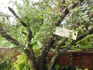 e0271409_20564335.jpg