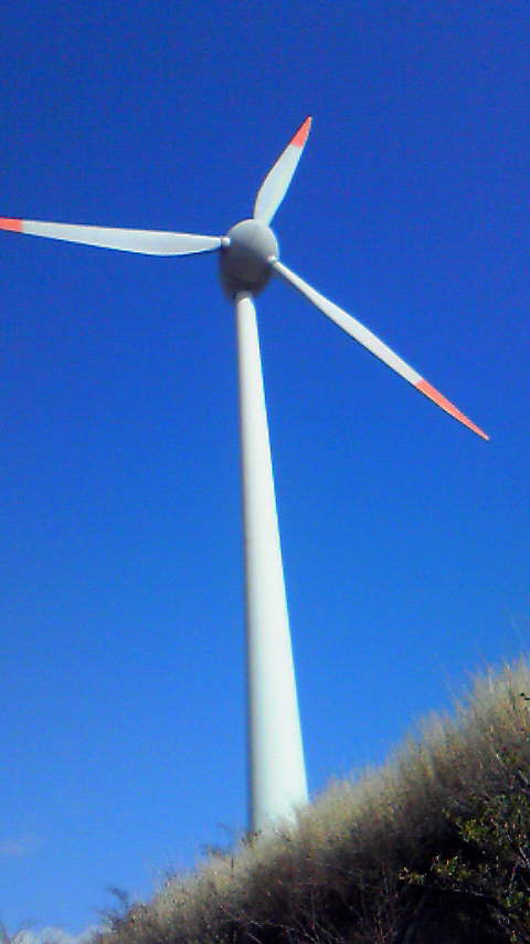 c0188610_222411.jpg