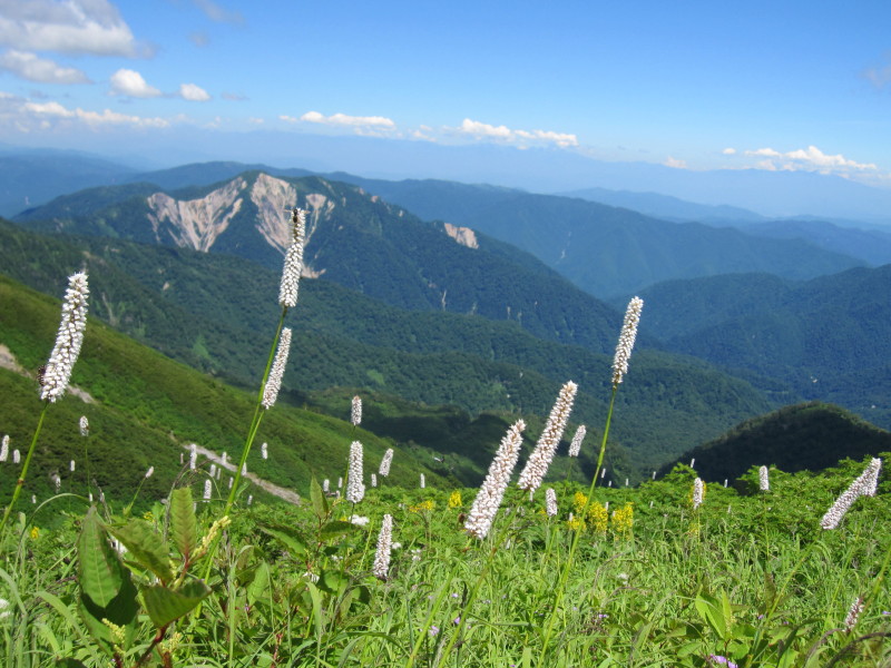 d0103314_2357861.jpg